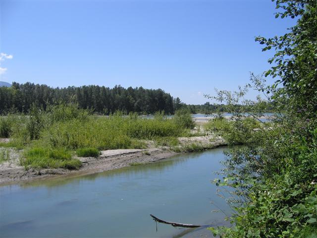 Lyman's Shores.JPG Lyman's Shores.JPG